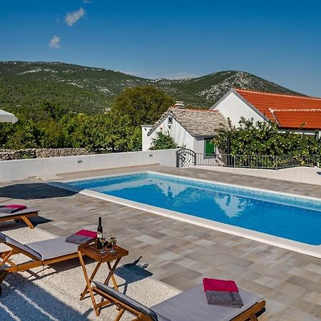 House Camellia With Fenced Pool And Playground Villa Blizna Donja ภายนอก รูปภาพ