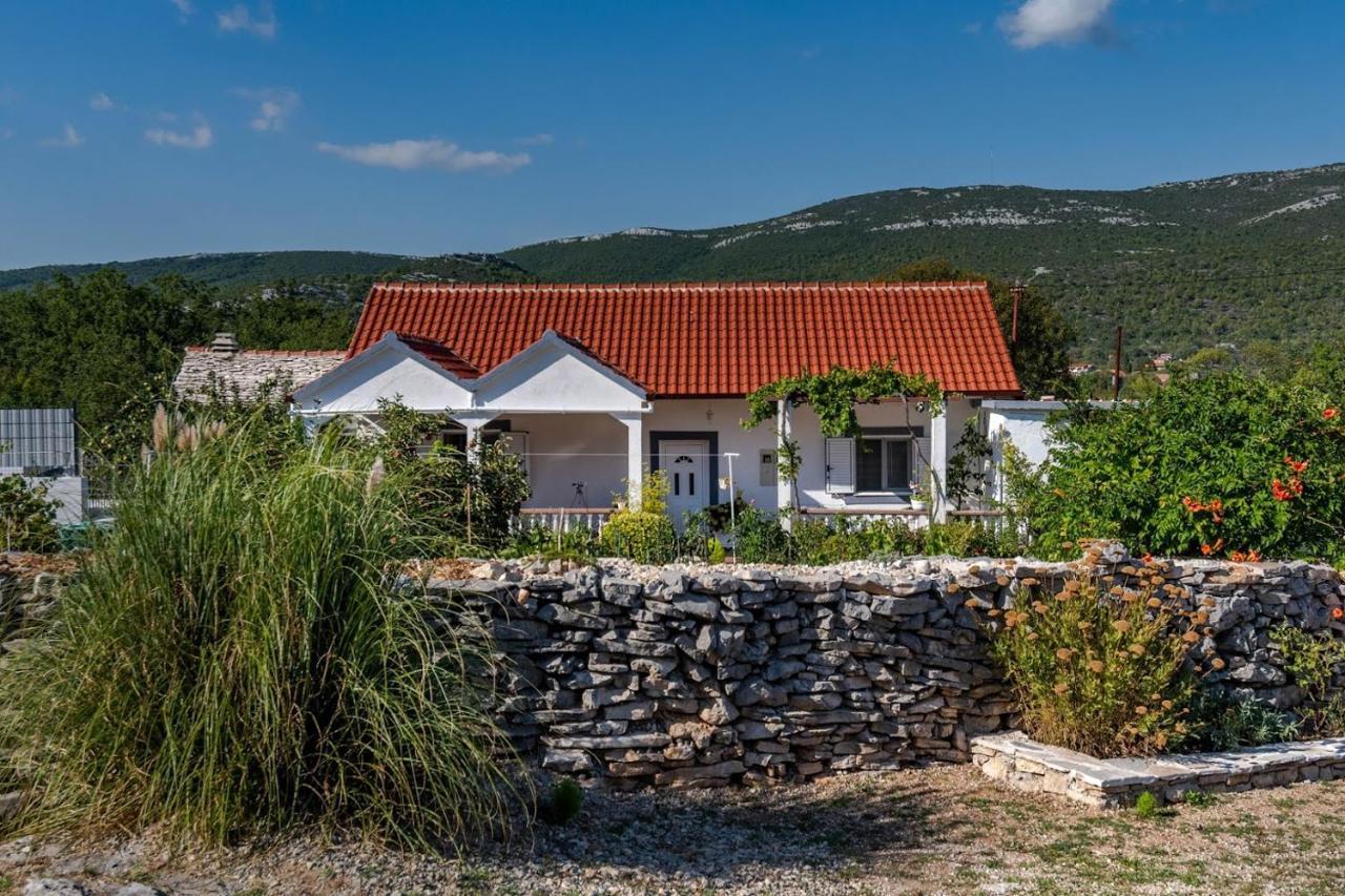 House Camellia With Fenced Pool And Playground Villa Blizna Donja ภายนอก รูปภาพ