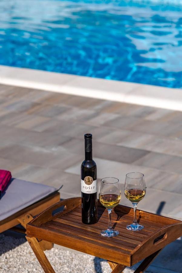 House Camellia With Fenced Pool And Playground Villa Blizna Donja ภายนอก รูปภาพ