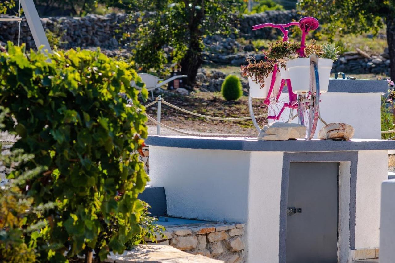 House Camellia With Fenced Pool And Playground Villa Blizna Donja ภายนอก รูปภาพ