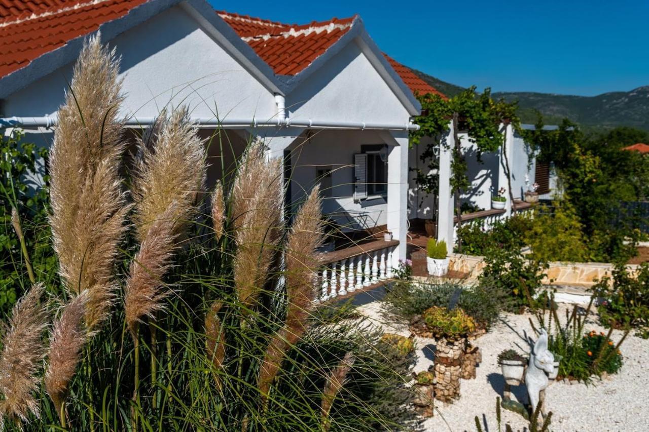 House Camellia With Fenced Pool And Playground Villa Blizna Donja ภายนอก รูปภาพ