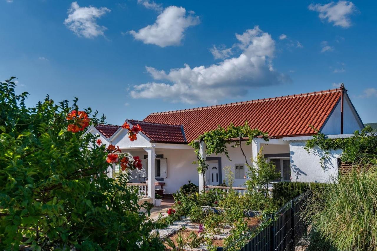House Camellia With Fenced Pool And Playground Villa Blizna Donja ภายนอก รูปภาพ
