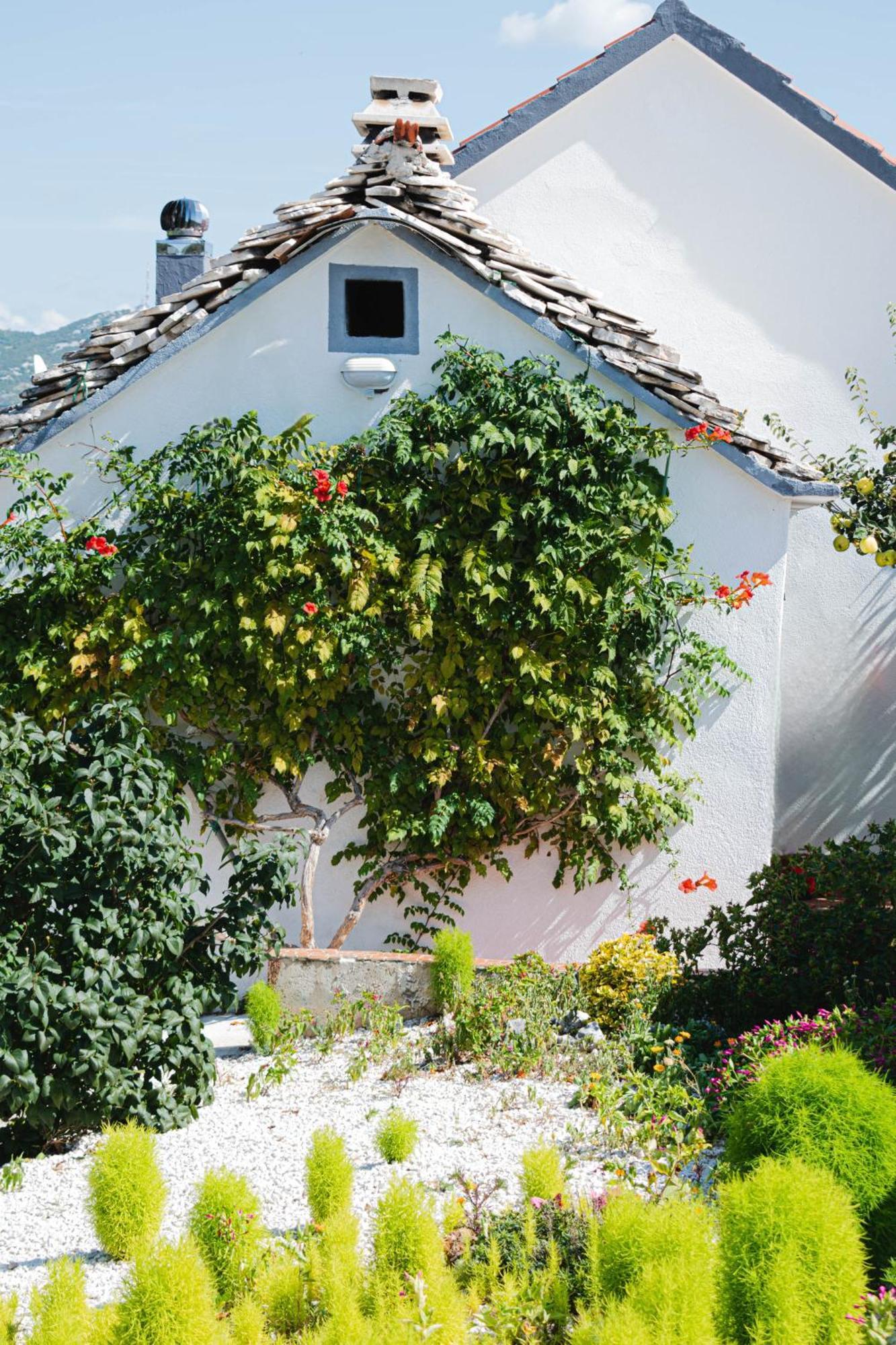 House Camellia With Fenced Pool And Playground Villa Blizna Donja ภายนอก รูปภาพ